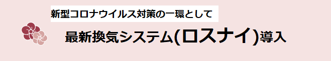 ロスナイ